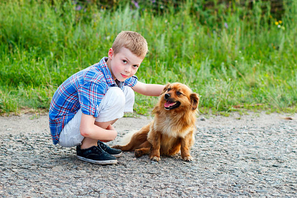 boy hugging a red fluffy dog. Best friends. Outdoor boy in a plaid shirt hugging a red fluffy dog. Best friends. Outdoor boy in a plaid shirt hugging a red fluffy dog stock pictures, royalty-free photos & images