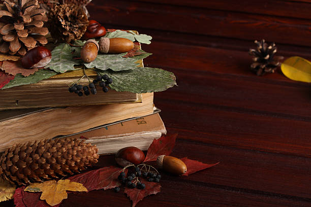 istock Autumn comncept with books, cones, acorns, chestnuts and dried herbs 611609052