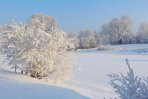 Frosty, sunny day. Winter morning on the river bank. Морозный, солнечный день. Зимнее утро на берегу реки. 