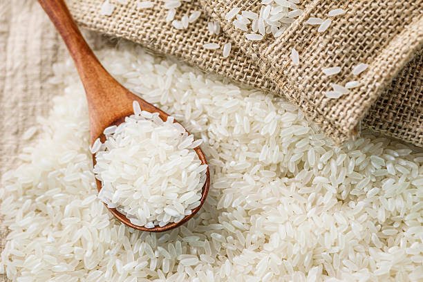 rice  - rice 뉴스 사진 이미지