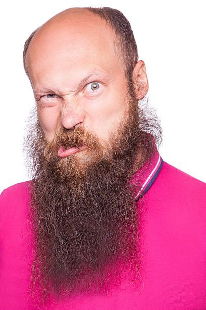 portrait of a funny bald bearded man. - facial expression unpleasant smell shirt caucasian imagens e fotografias de stock