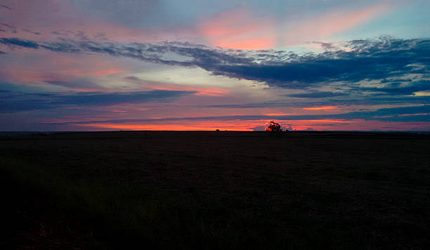 istock Sunset in America in a wheat field. Rural Scene. 611616788