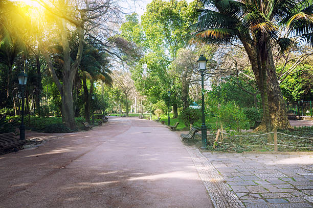 istock City park at sunny day 611618550