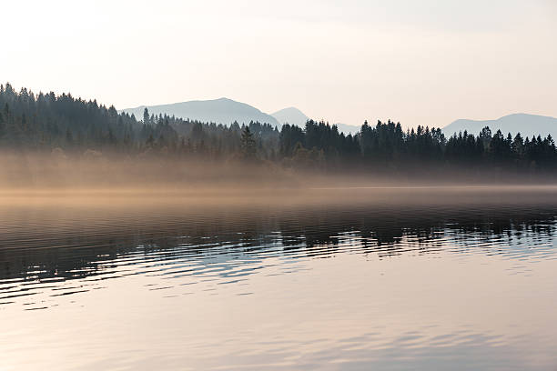 istock Forest, mountain and fog at sunset 611619940