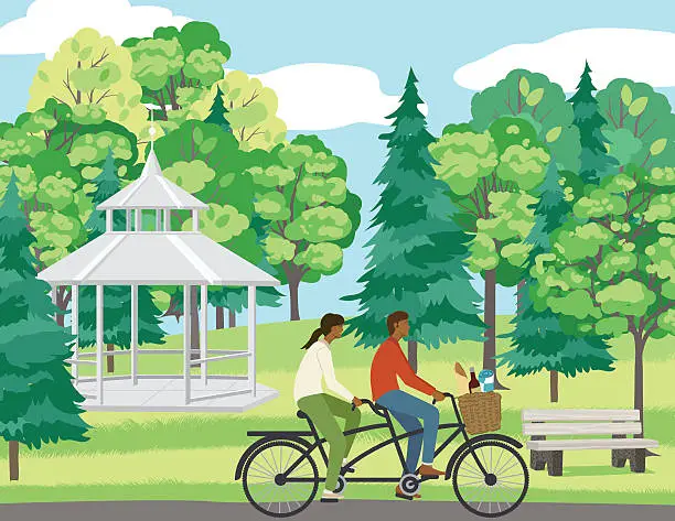 Vector illustration of Couple Bicycling On A Path In The Park