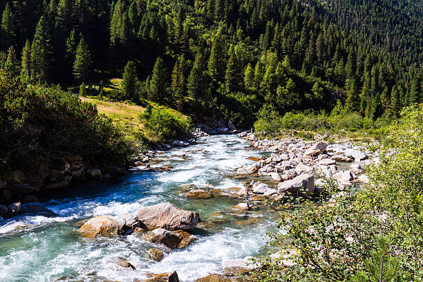 istock Austrian Alps. Starting famous Krimml waterfalls. 611623186