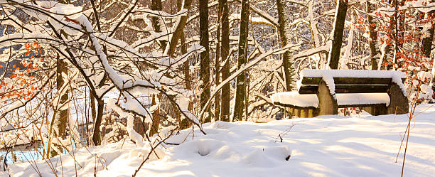 istock Bench in the winter park and sunshine. 611624070