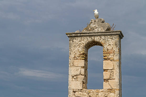 Peschici is a town in  Gargano in the Puglia region.