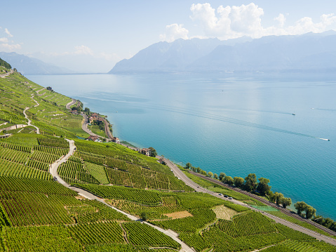 Aerial view of vineyards of Lavaux, UNESCO