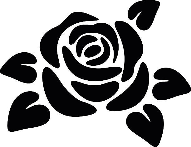czarna sylwetka róży. ilustracje wektorowe. - silhouette beautiful flower head close up stock illustrations