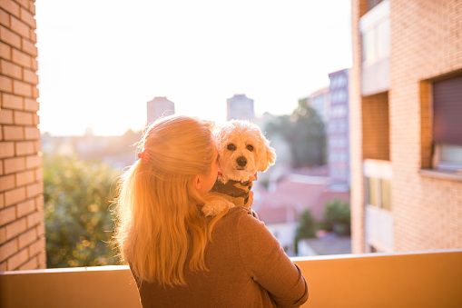 Blonde holding dog on a balcony of a building,sunset