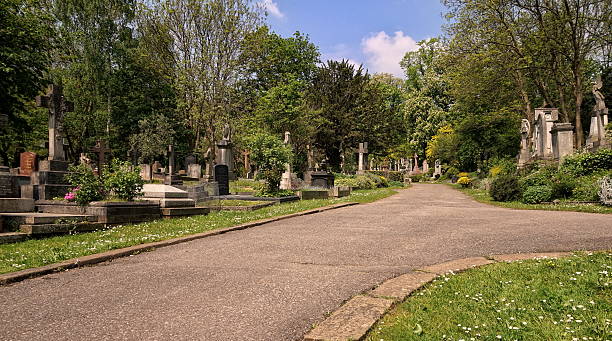 weg durch den ostfriedhof - highgate cemetery stock-fotos und bilder