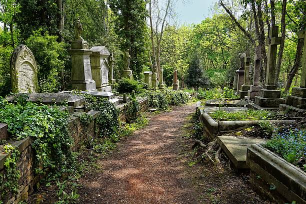 하이게이트 묘지 동쪽 묘지의 무덤 - highgate cemetery 뉴스 사진 이미지