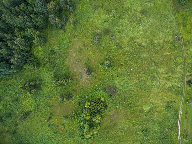 istock Aerial view forest and countryside view at summer time 611633418