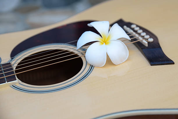 istock plumeria on guitar 611633426