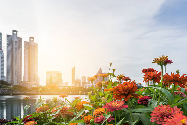 istock Park in the morning 611636724