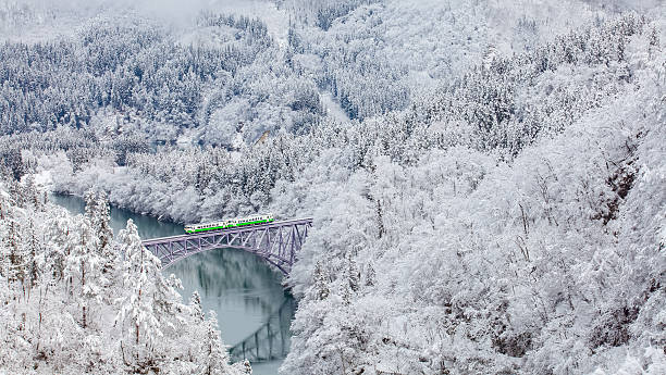 istock Japan mountain and snow with local train 611636884