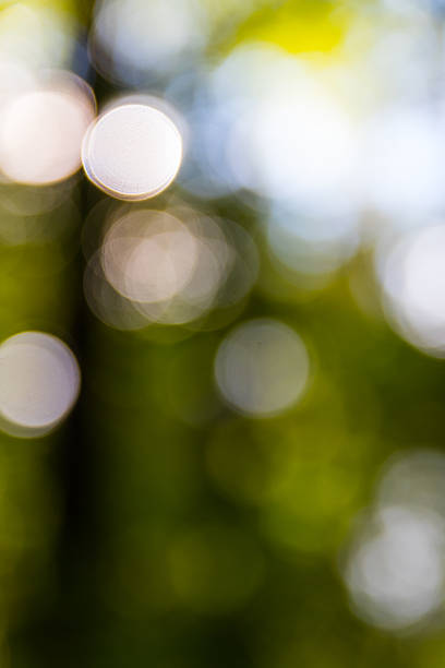 istock Bokeh background of nature 611637078