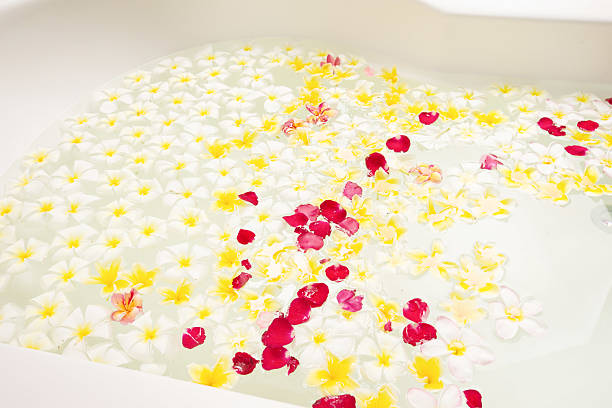 프란지파니 꽃으로 가득한 스파 욕조 - relaxation bali spa treatment frangipani 뉴스 사진 이미지