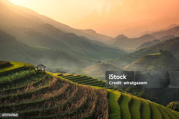 Terraced Rice Field Of Mu Cang Chai Yenbai Vietnam Stock Photo - Download Image Now