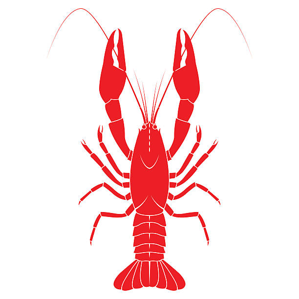 красный раков вектор плоские иллюстрации изолированы - crayfish stock illustrations