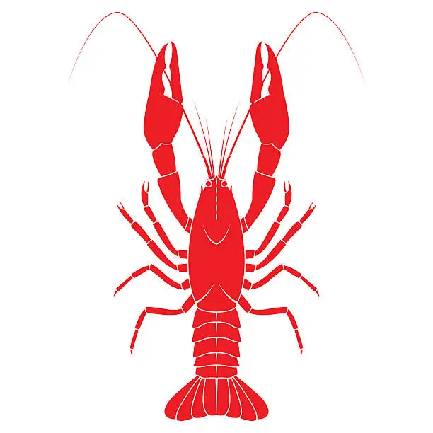 Vector illustration of Red crayfish vector flat illustration isolated