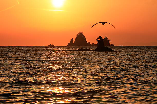 istock Island of sunset 611747190