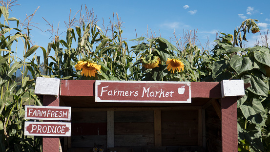Farmers Market - Farmfresh produce
