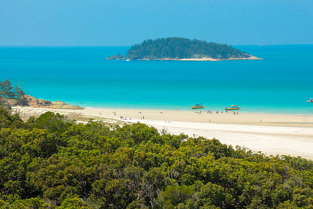 istock Whitsunday Islands on a sunny day 611747618