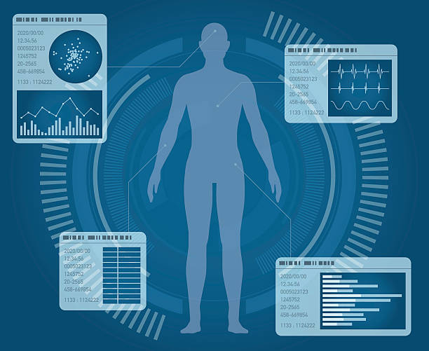 medizinische schnittstelle, menschliche verdauungsorgane - ganzkörperansicht grafiken stock-grafiken, -clipart, -cartoons und -symbole