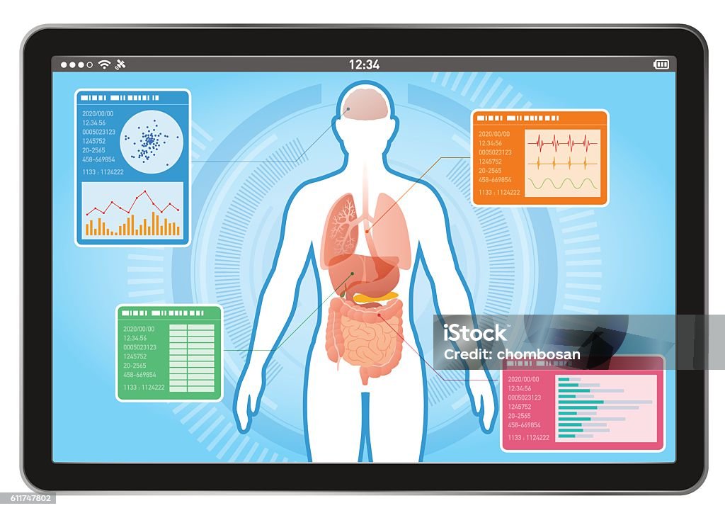 Medical Interface Human Digestive Organs Stock Illustration - Download ...