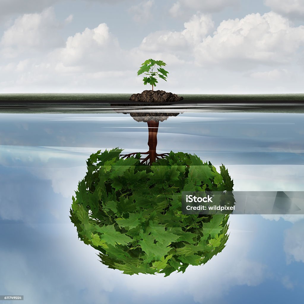 Potential Success Concept Potential success concept as a symbol for aspiration philosophy idea and determined growth motivation icon as a small young sappling making a reflection  of a mature large tree in the water with 3D illustration elements. Attitude Stock Photo