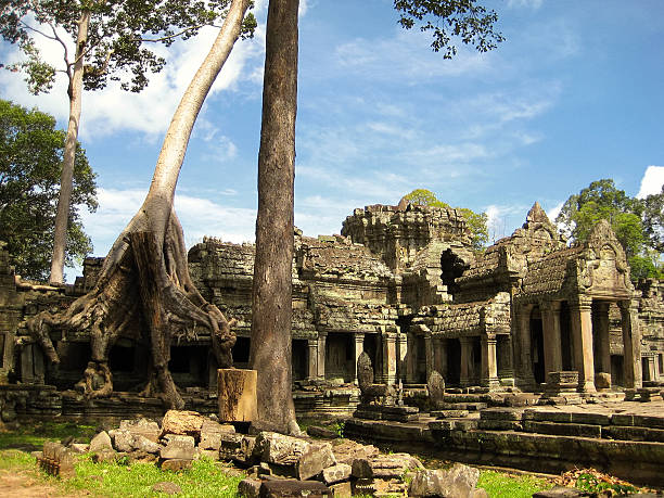 프레아 칸, 앙코르 왕국, 씨엠립, 캄보디아. - banyan tree asian ethnicity art cambodia 뉴스 사진 이미지