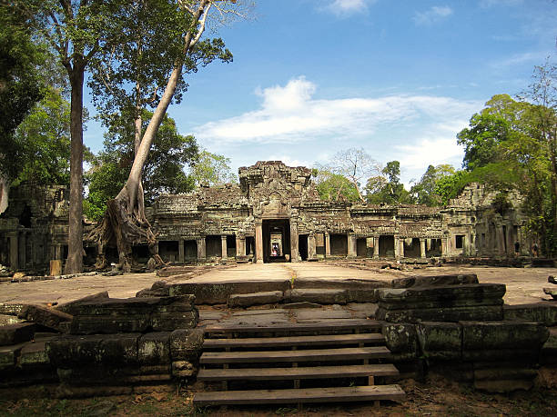 프레아 칸, 앙코르 왕국, 씨엠립, 캄보디아. - banyan tree asian ethnicity art cambodia 뉴스 사진 이미지