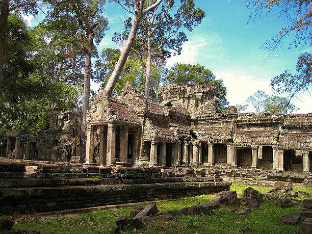 프레아 칸, 앙코르 왕국, 씨엠립, 캄보디아. - banyan tree asian ethnicity art cambodia 뉴스 사진 이미지