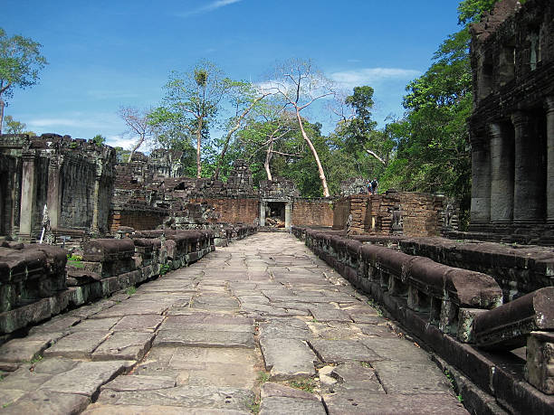 preah khan, reino de angkor, siem reap, camboja. - banyan tree asian ethnicity art cambodia - fotografias e filmes do acervo