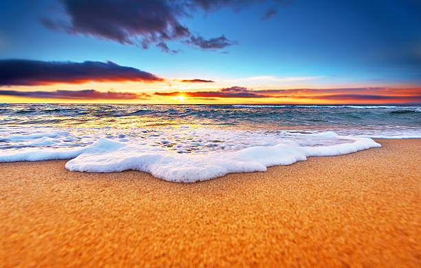 istock Beautiful tropical sunrise on the beach. 611751226