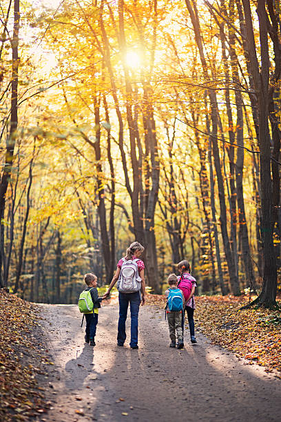 istock Family hiking in autumn beech forest 611752568