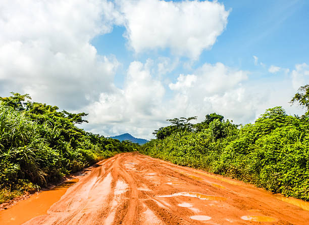 estrada através da selva depois de uma chuva.  libéria, áfrica ocidental - raining cats and dogs - fotografias e filmes do acervo