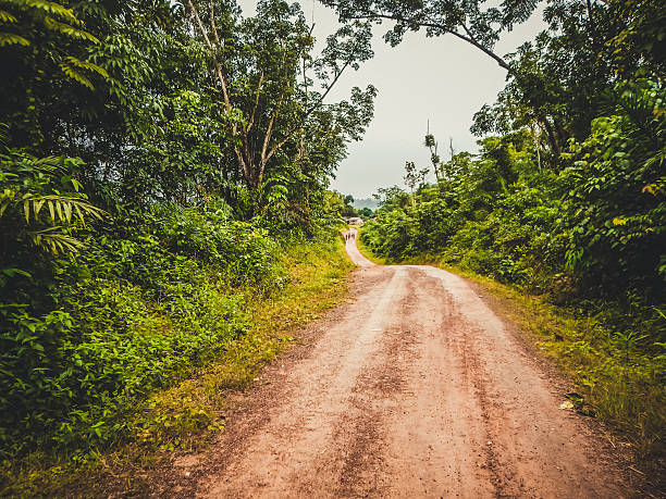 estrada através da selva. libéria, áfrica ocidental - liberia - fotografias e filmes do acervo