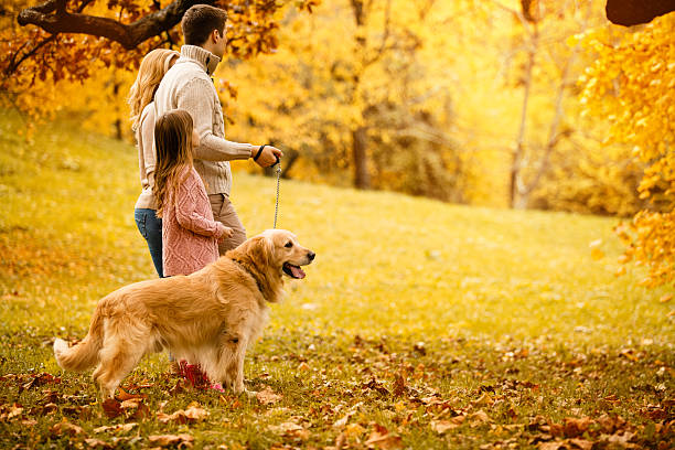 istock Family walking in park with their dog 611757714