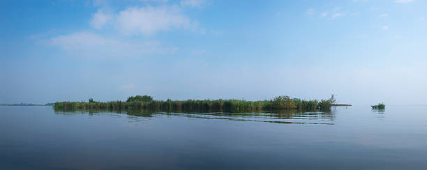 isola nella riserva naturale delle zone umide di weerribben-wieden - wieden weerribben foto e immagini stock