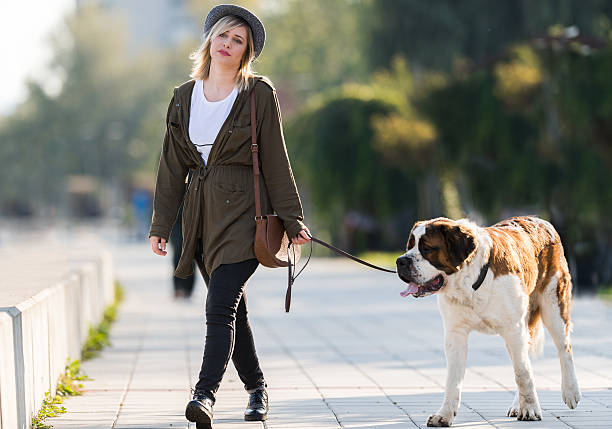 istock Girl and dog 611763008