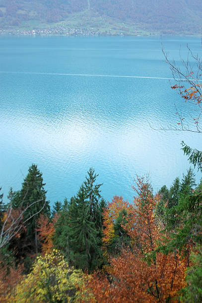 istock Lake Brienz in Autumn, Switzerland 611766702
