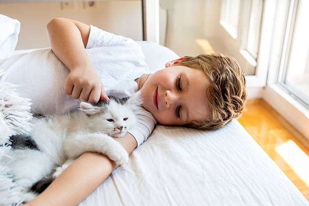 istock Loving boy cuddling a kitten in bedroom. 611767256