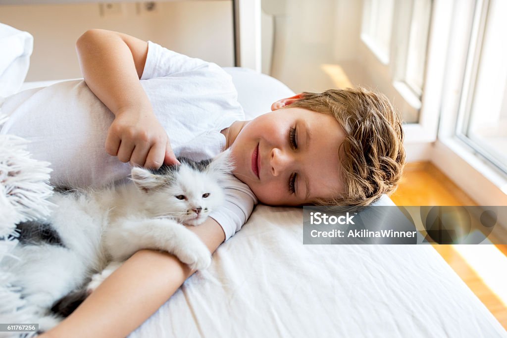 Loving boy cuddling a kitten in bedroom. Cute little boy relaxing on the bed with his small cat. Petting Stock Photo