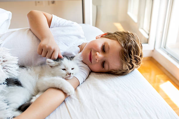 Loving boy cuddling a kitten in bedroom. Cute little boy relaxing on the bed with his small cat. longhair cat photos stock pictures, royalty-free photos & images
