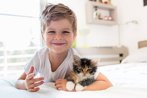 Adorable little boy and his kitten! Happy small boy holding his kitten while lying on the bed and looking at camera. only boys stock pictures, royalty-free photos & images