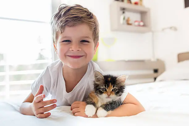 Happy small boy holding his kitten while lying on the bed and looking at camera.