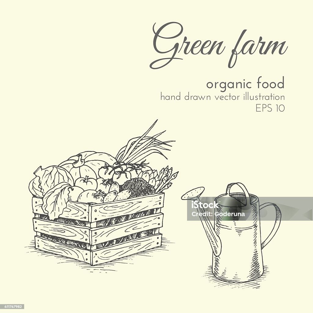 vector illustration of organic products. sketch farmer eco harvest vegetables hand drawn vector illustration of organic products. sketch farmer harvest vegetables and watering. healthy food Vegetable stock vector